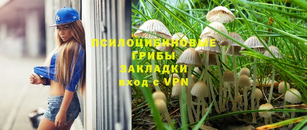 не бодяженный Алзамай