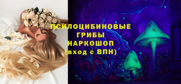 PSILOCYBIN Алексеевка