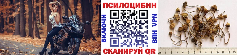 наркошоп  Мышкин  Галлюциногенные грибы Psilocybe 